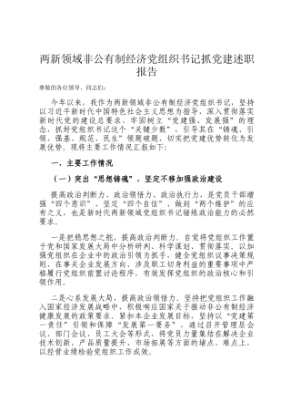 两新领域非公有制经济党组织书记抓党建述职报告