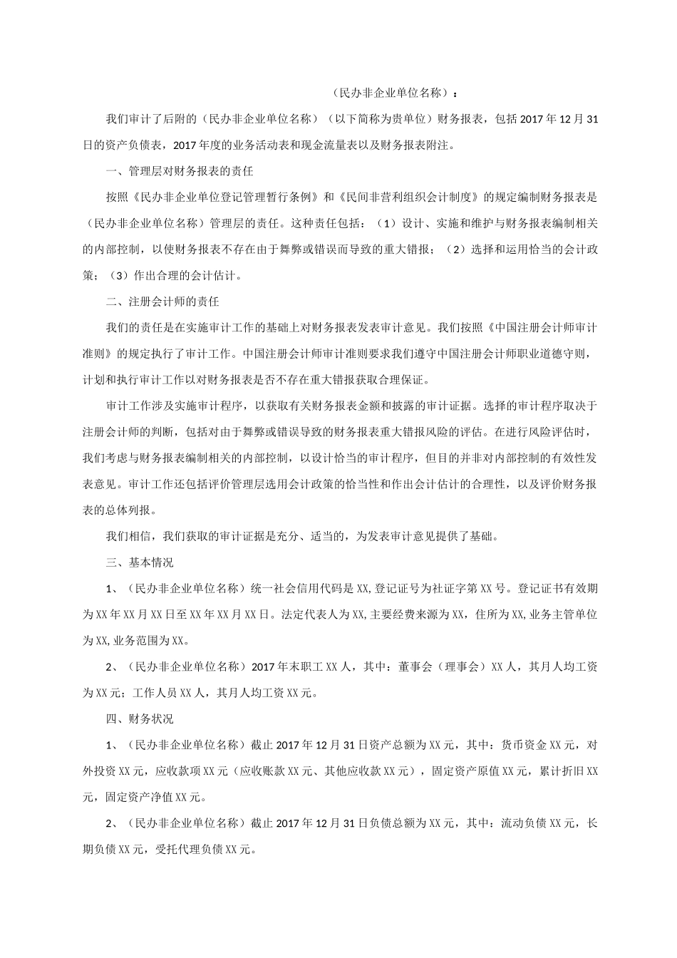 民办非企业单位审计报告_第2页