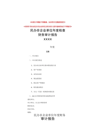 民办非企业单位审计报告