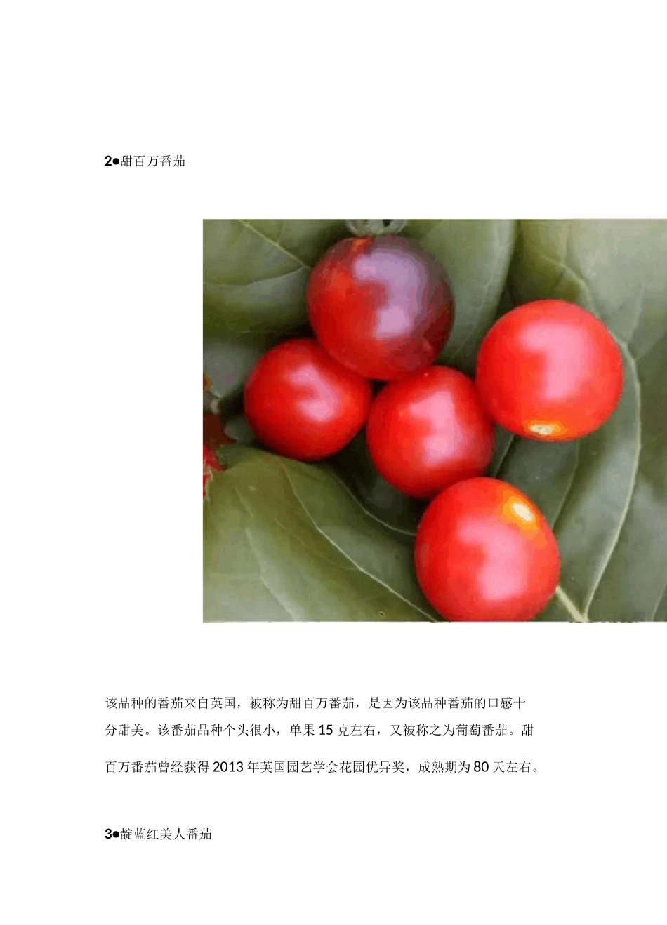 番茄特色品种大全_第3页