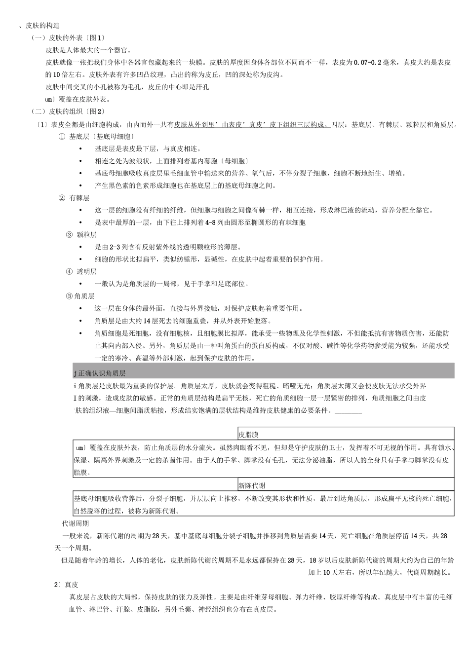 皮肤的基础知识  _第1页