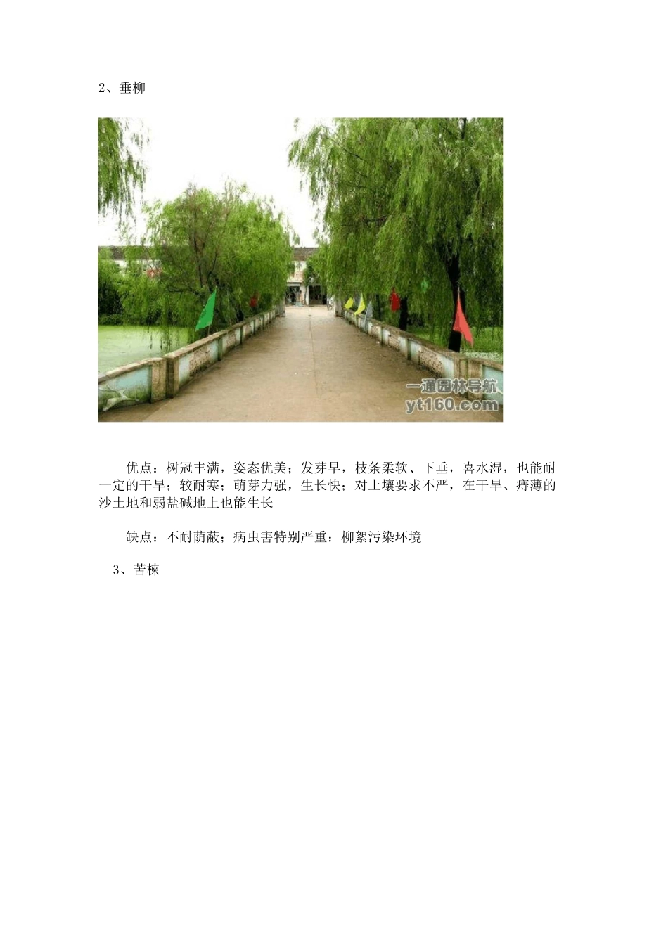 我国北方地区常见十大行道树简介_第3页