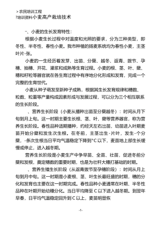 小麦高产栽培技术详解