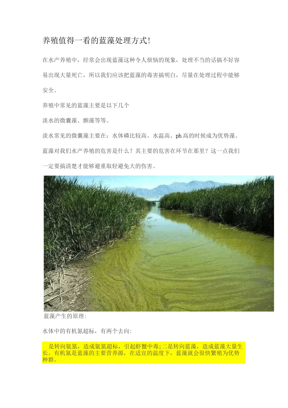 养殖值得一看的蓝藻处理方式_第1页