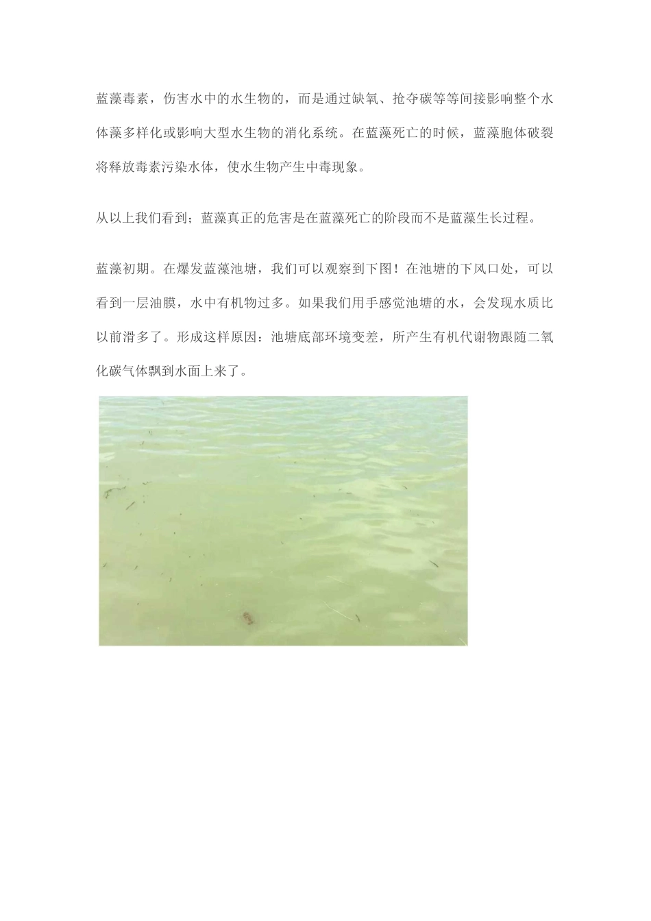养殖值得一看的蓝藻处理方式_第3页