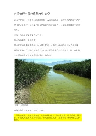 养殖值得一看的蓝藻处理方式