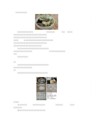 河南小吃羊肉烩面怎么做