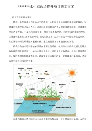 河道水系生态提升改造方案