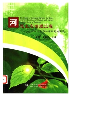 河道生态治理工程(2003)