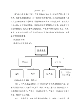 油井堵水技术方案