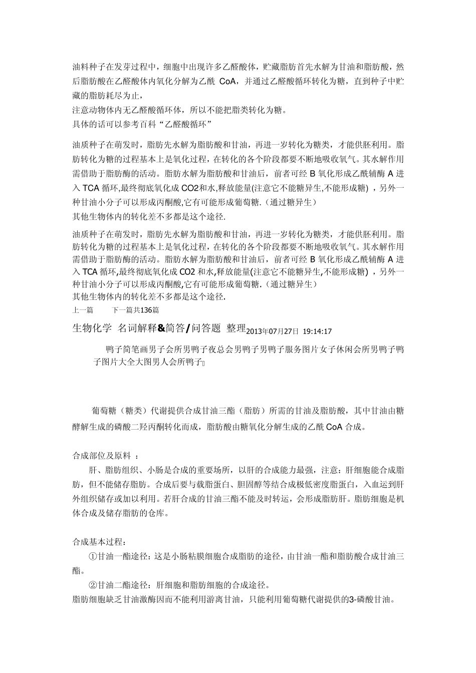 油料种子在发芽过程中2_第1页