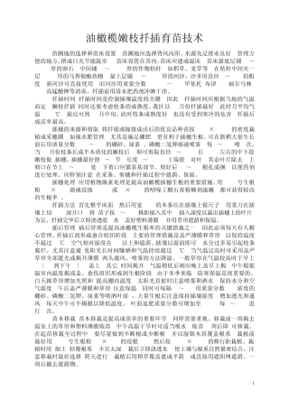 油橄榄育苗栽培技术