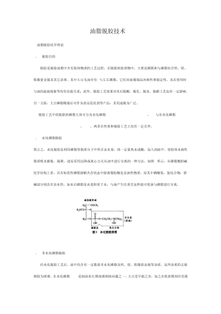 油脂脱胶技术