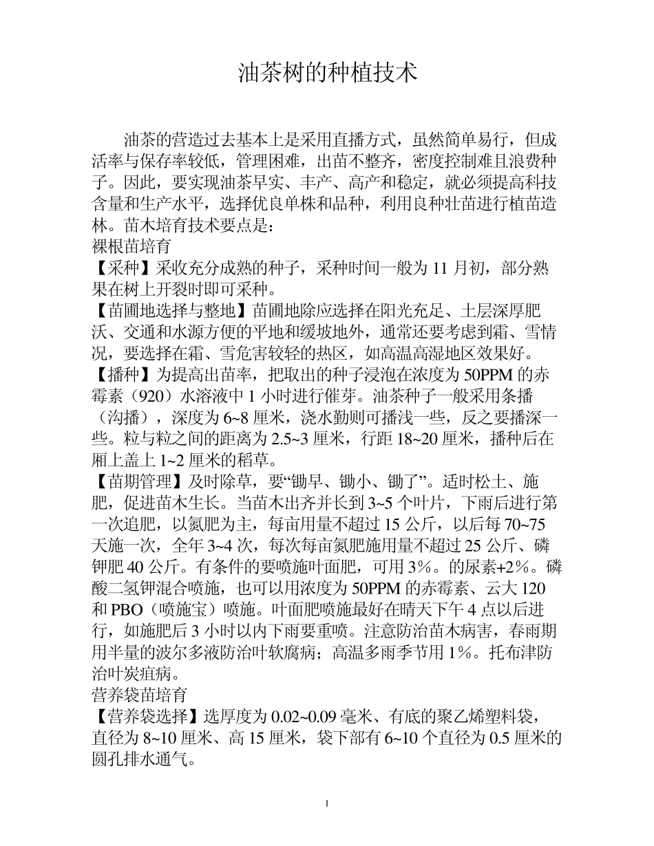 油茶树的种植技术_第1页