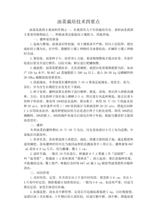 油菜栽培技术要点