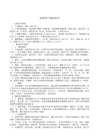 油葵高产栽培技术