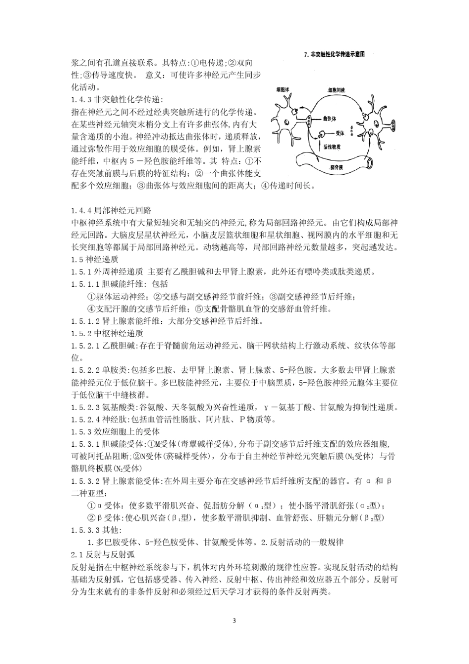 生理学神经系统详细教案_第3页