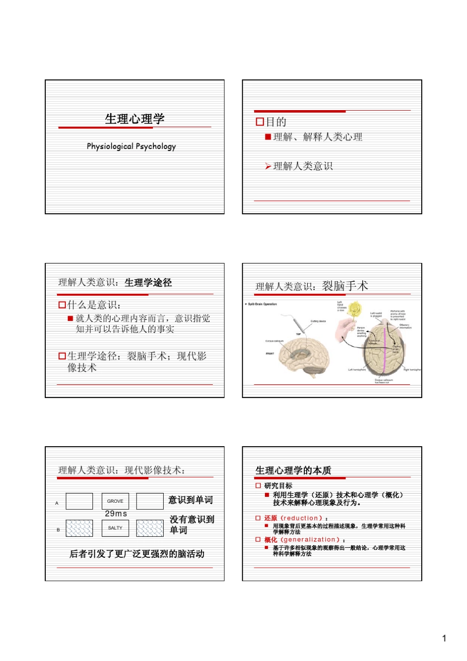 生理心理学1到13章PPT_第1页