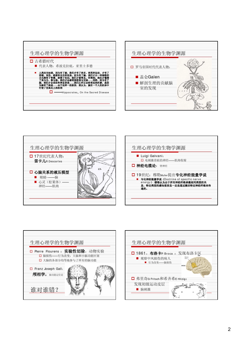 生理心理学1到13章PPT_第2页