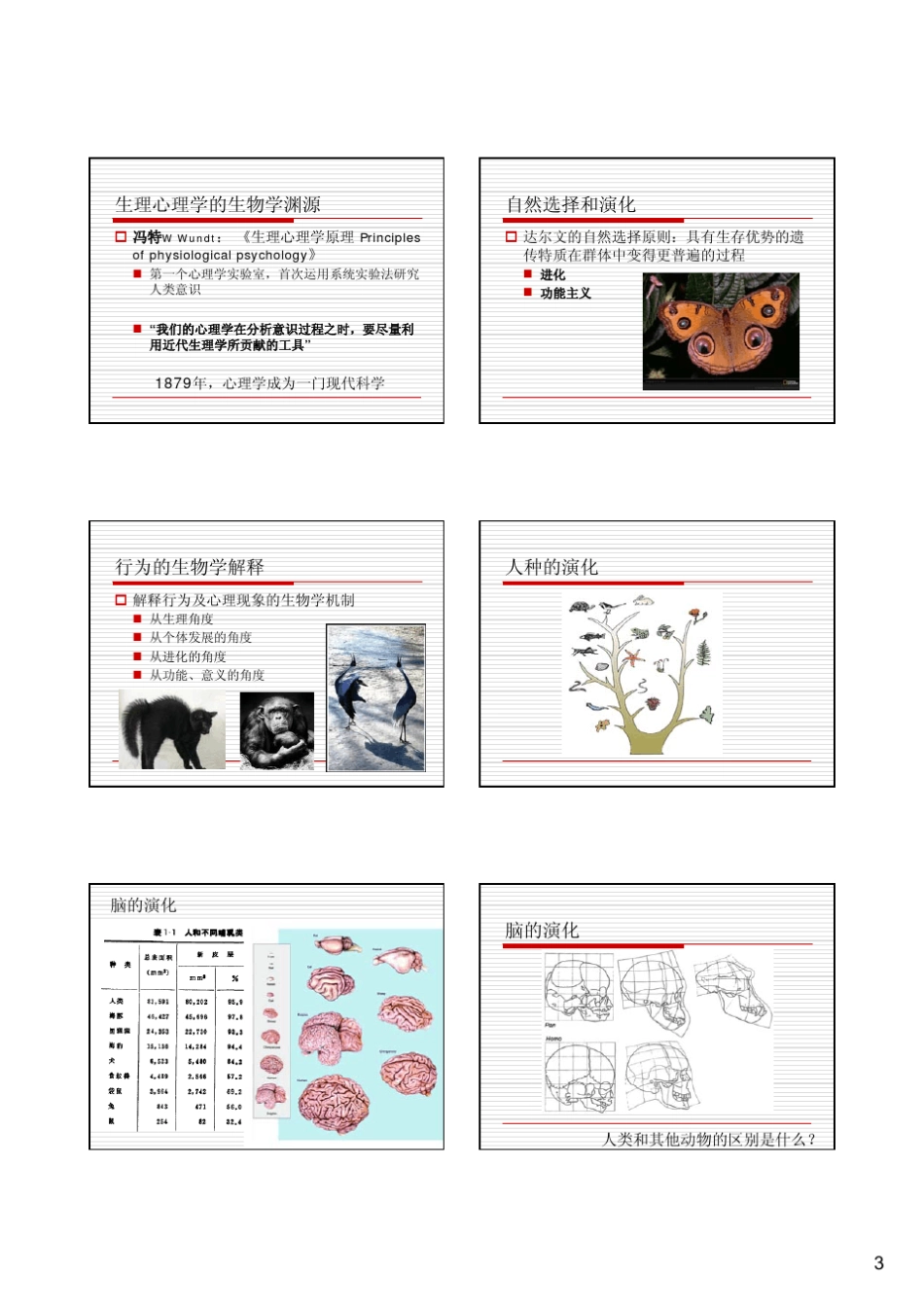 生理心理学1到13章PPT_第3页