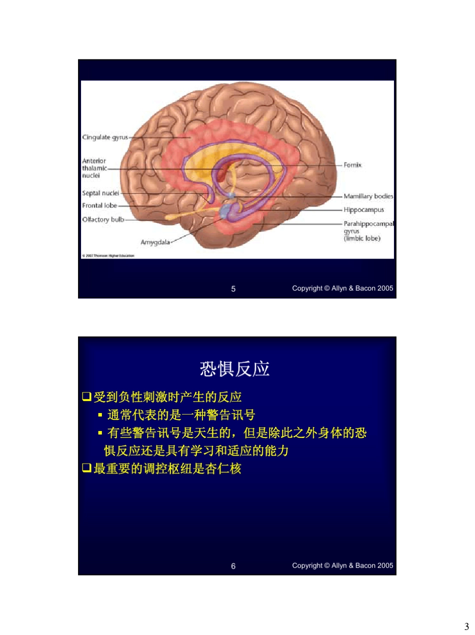 生理心理学课件第10情绪_第3页