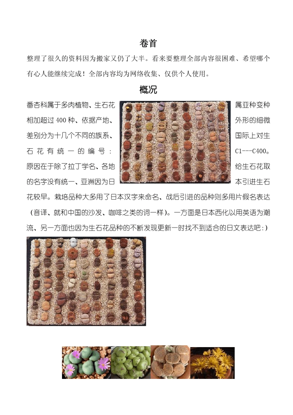 生石花鉴别参考手册_第1页