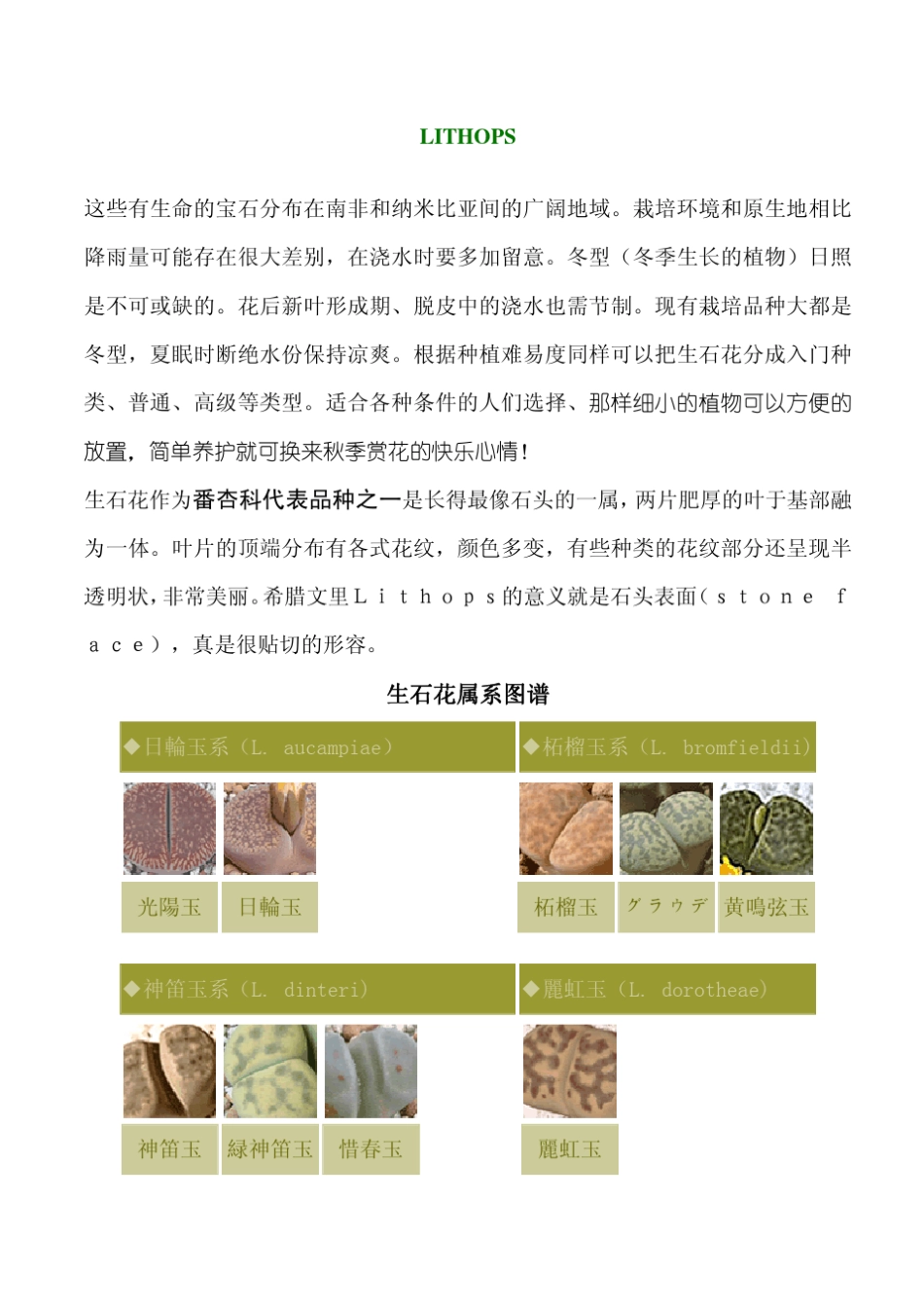 生石花鉴别参考手册_第2页