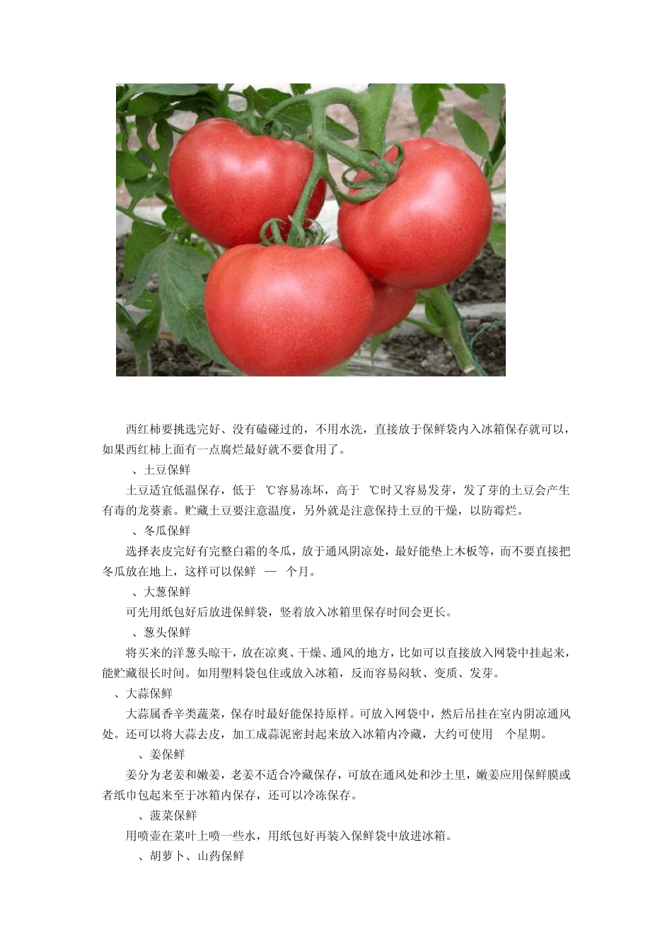 生菜保鲜方法_第3页