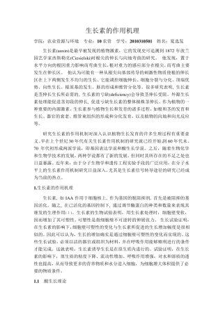 生长素的作用机理
