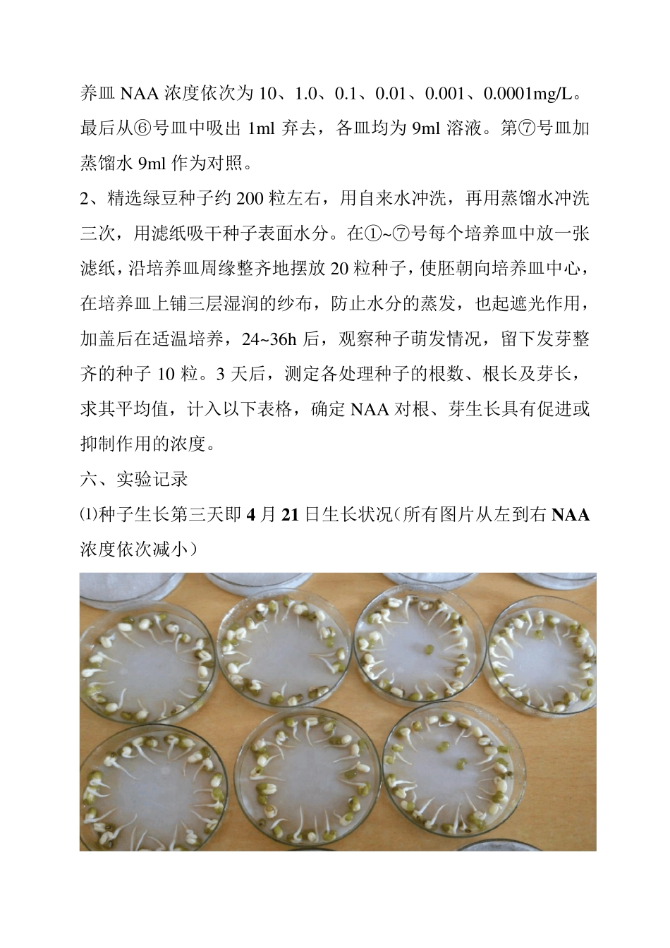 生长素类物质对根和芽的影响实验报告_第3页