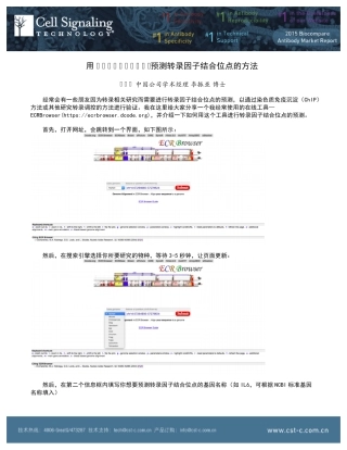 用ECRBrowser预测转录因子结合位点的方法