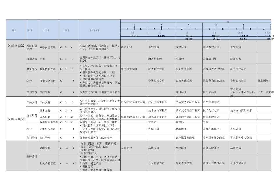 用友员工职位职级体系表(V1.0草案)_第2页