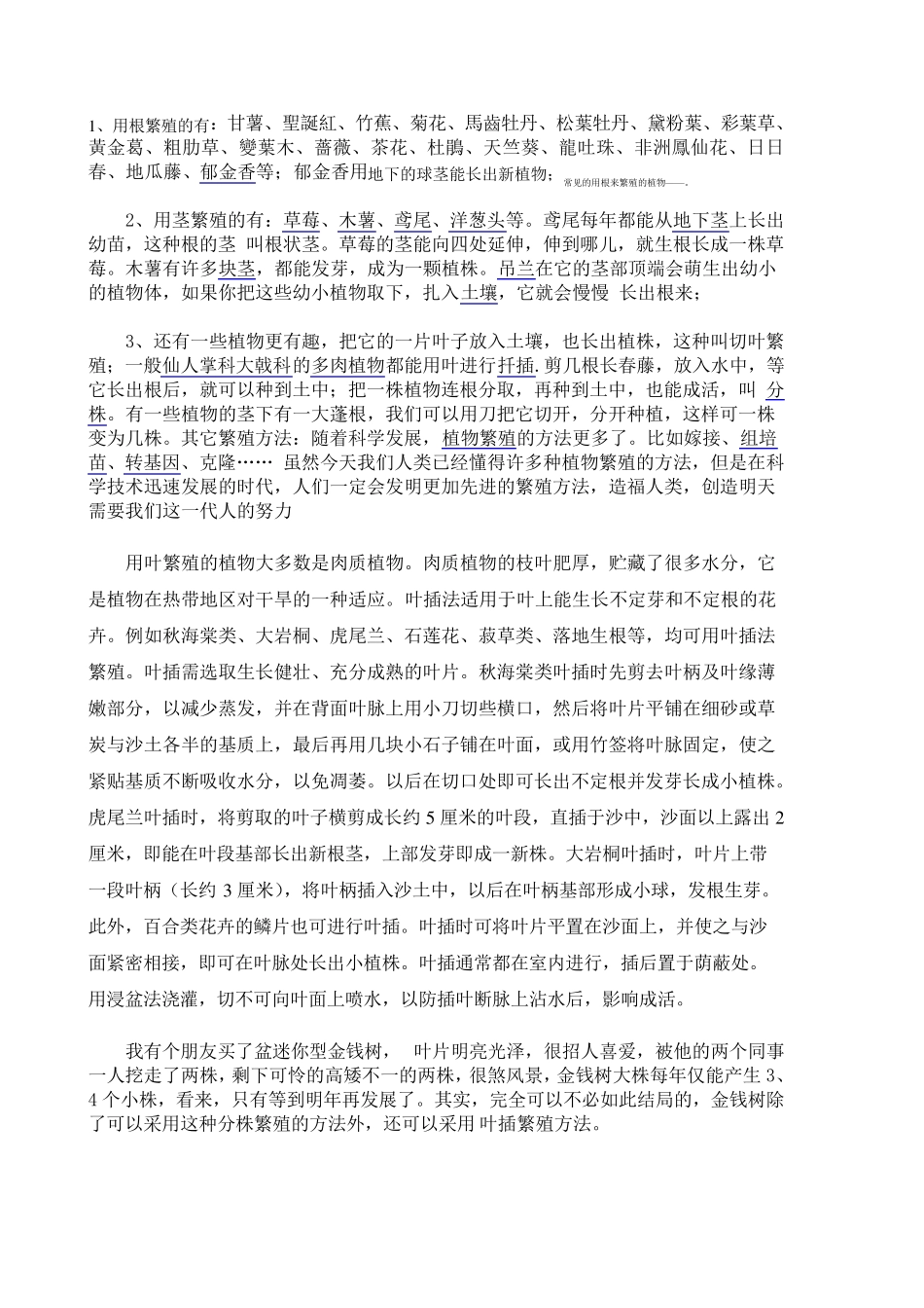 用根茎叶繁殖的植物_第1页
