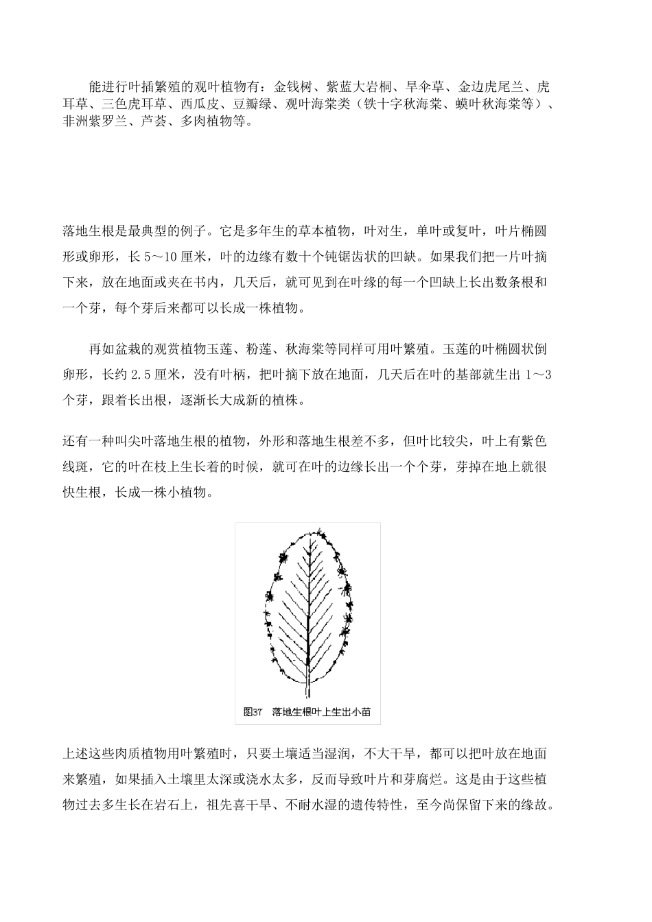 用根茎叶繁殖的植物_第2页