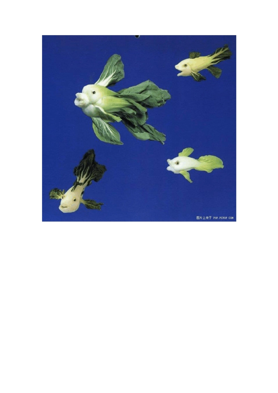 用蔬菜水果做的手工品_第2页