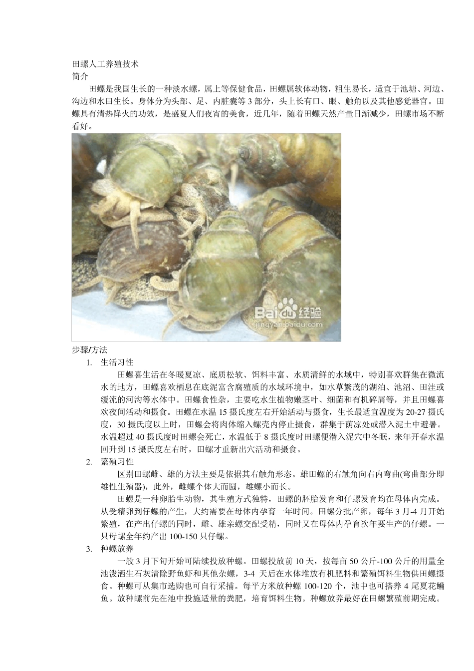 田螺人工养殖技术_第1页