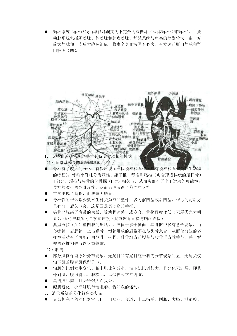 由水生向陆生转变的过渡动物两栖纲(Amphibia)_第3页