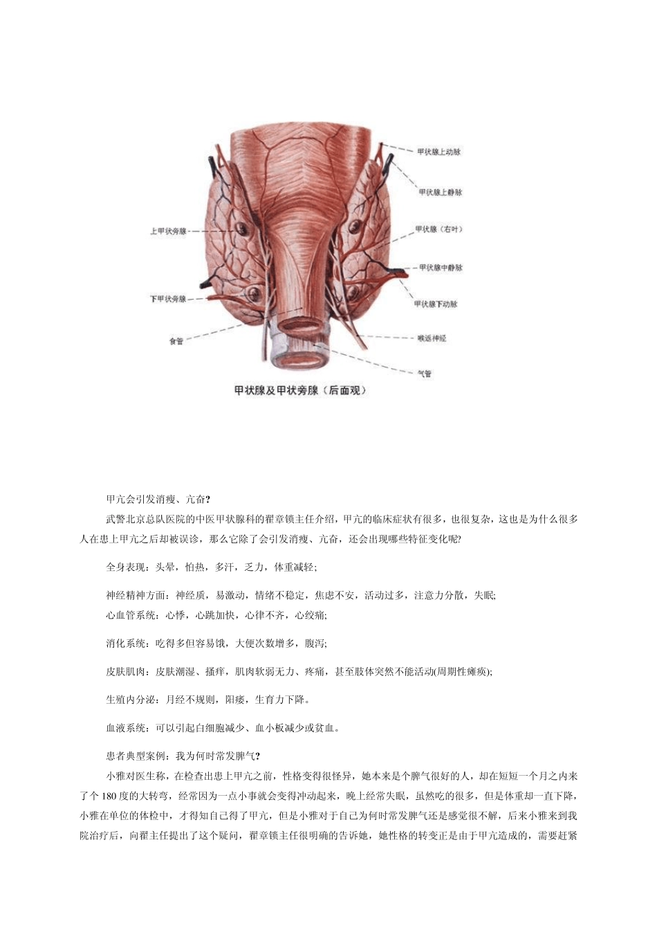 甲亢病的有关资料_第3页