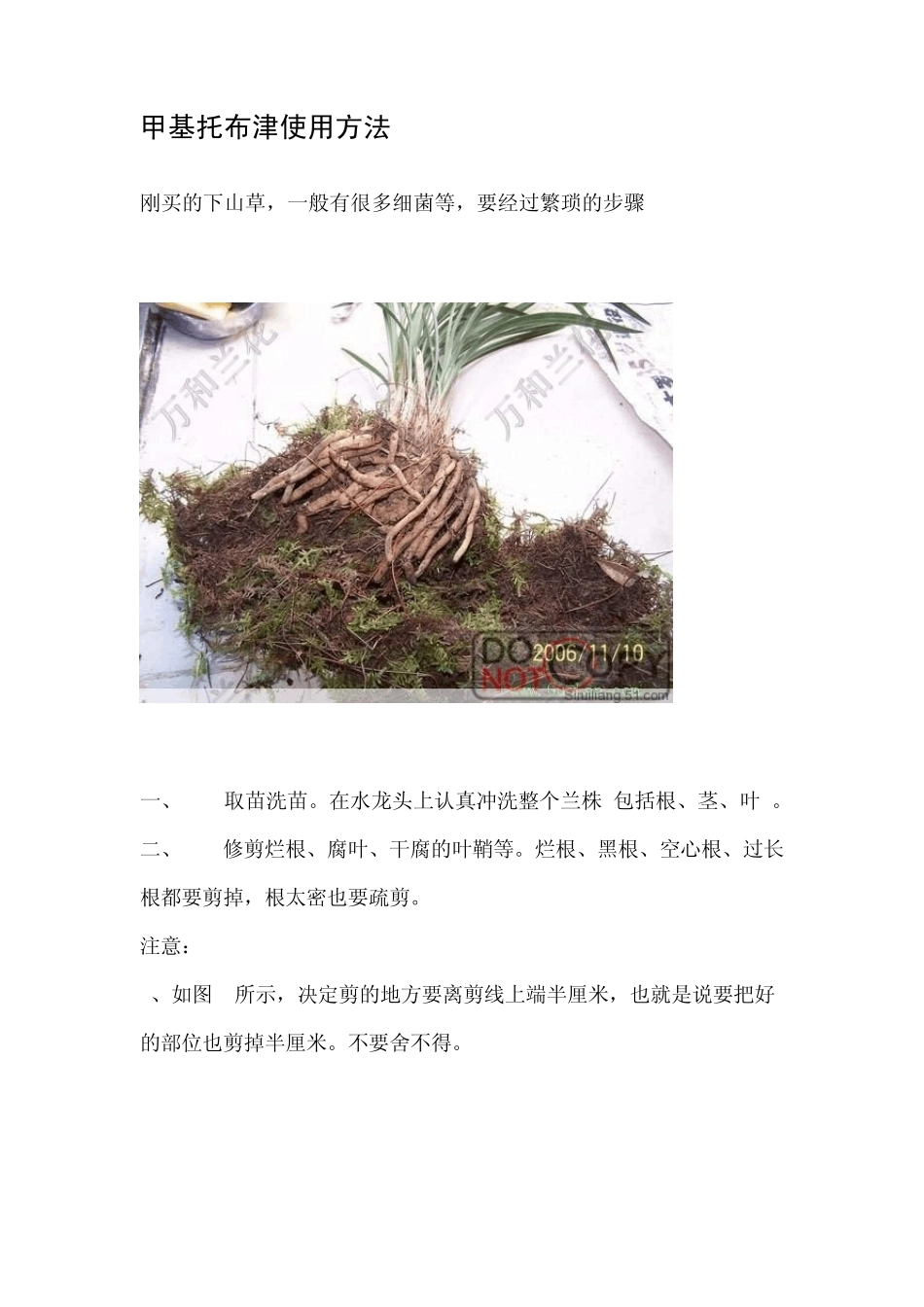 甲基托布津使用方法_第1页