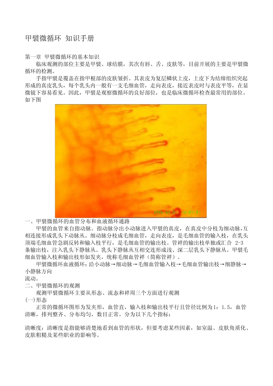 甲襞微循环知识手册_第1页