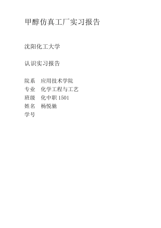 甲醇仿真工厂实习报告