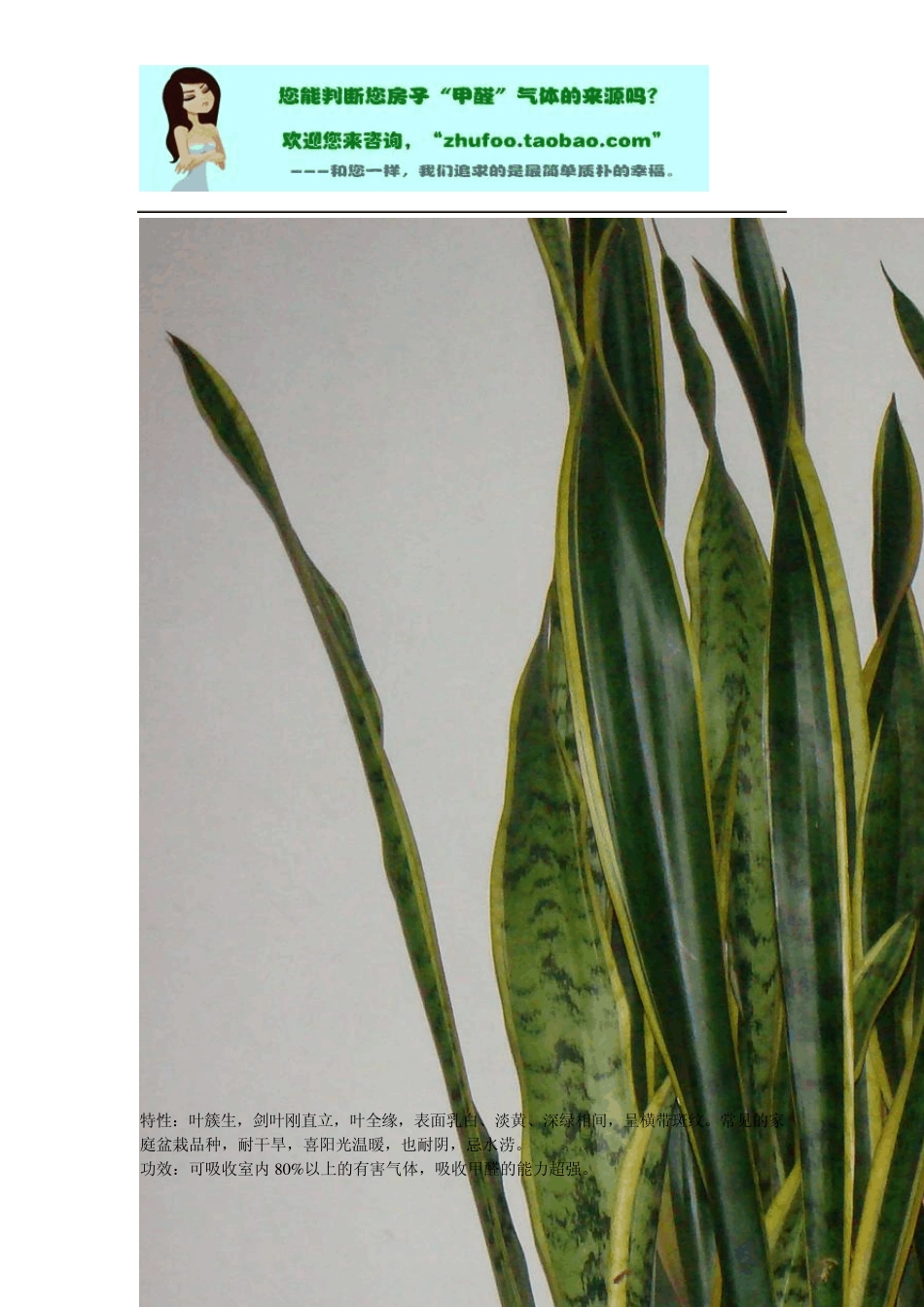 甲醛超标须知_第2页