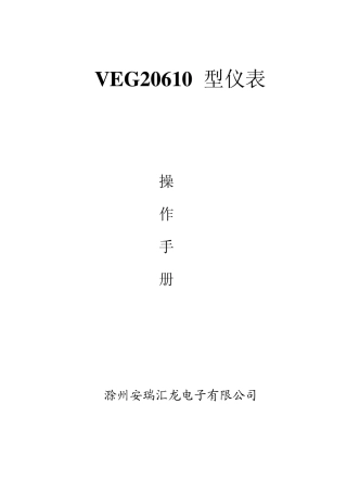 申克仪表20610说明书原装进口