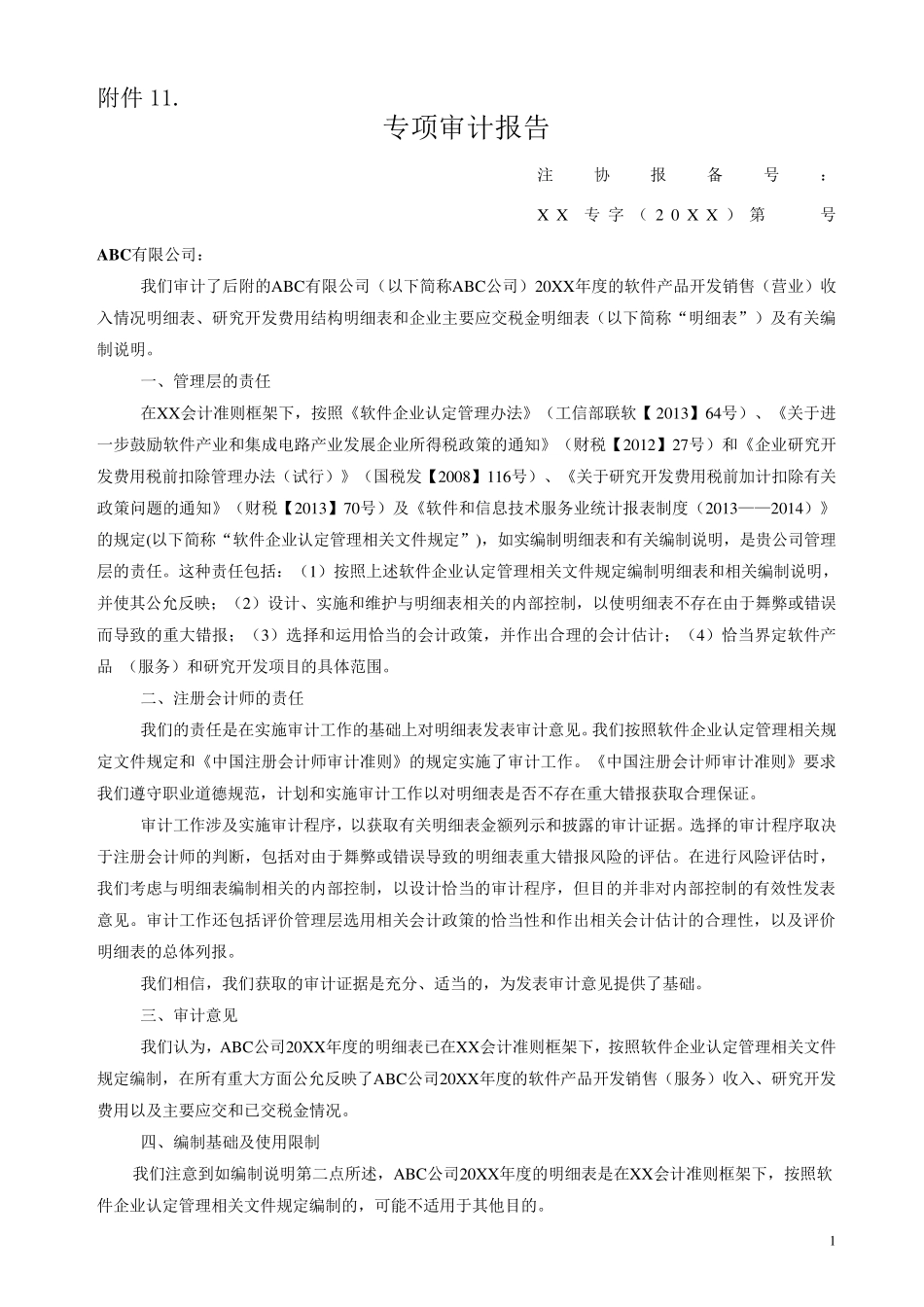 申报软件企业专项审计报告_第1页