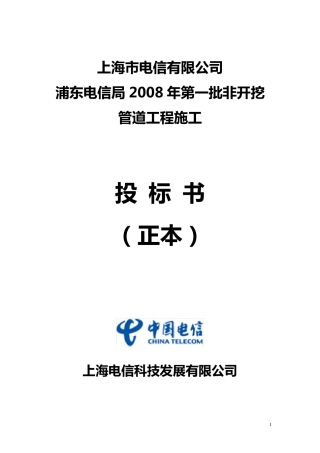 电信管道投标模板