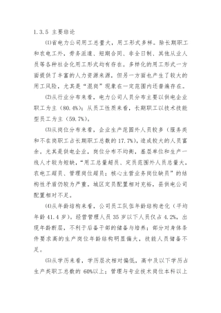 电力公司内外环境分析