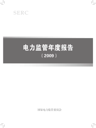 电力监管年度报告(2009,)
