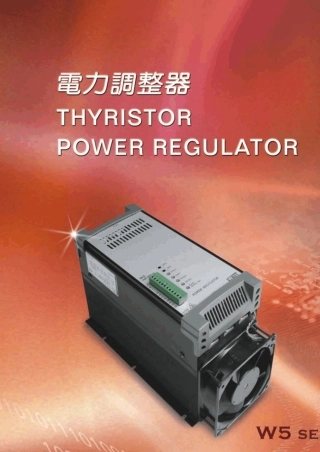 电力调整器说明书