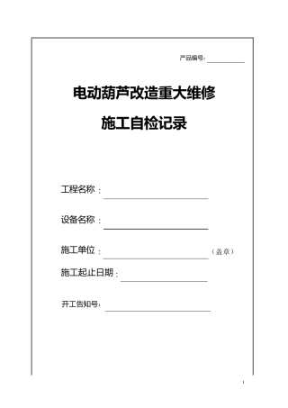 电动葫芦自检报告2012