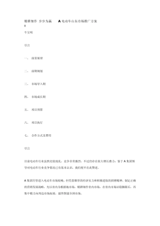 电动车山东市场推广方案